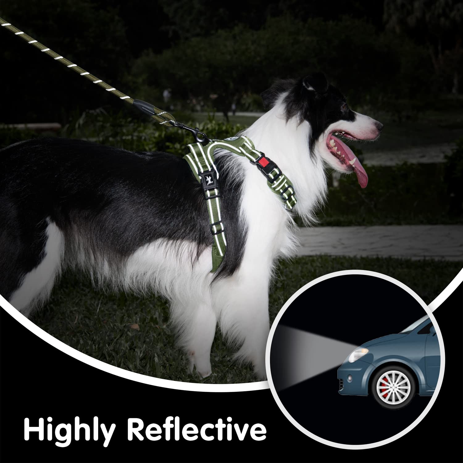 PoyPet no-pull harness dual D-rings close-up for reliable control.
