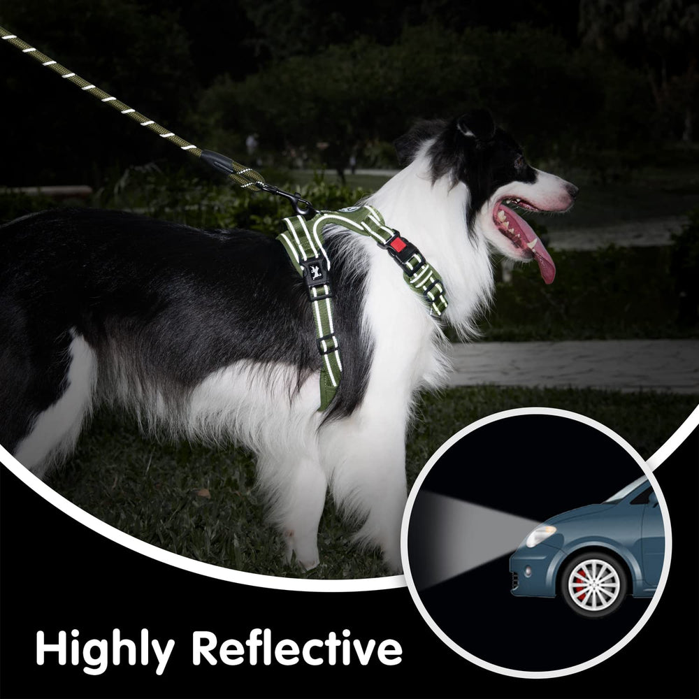 PoyPet no-pull harness dual D-rings close-up for reliable control.