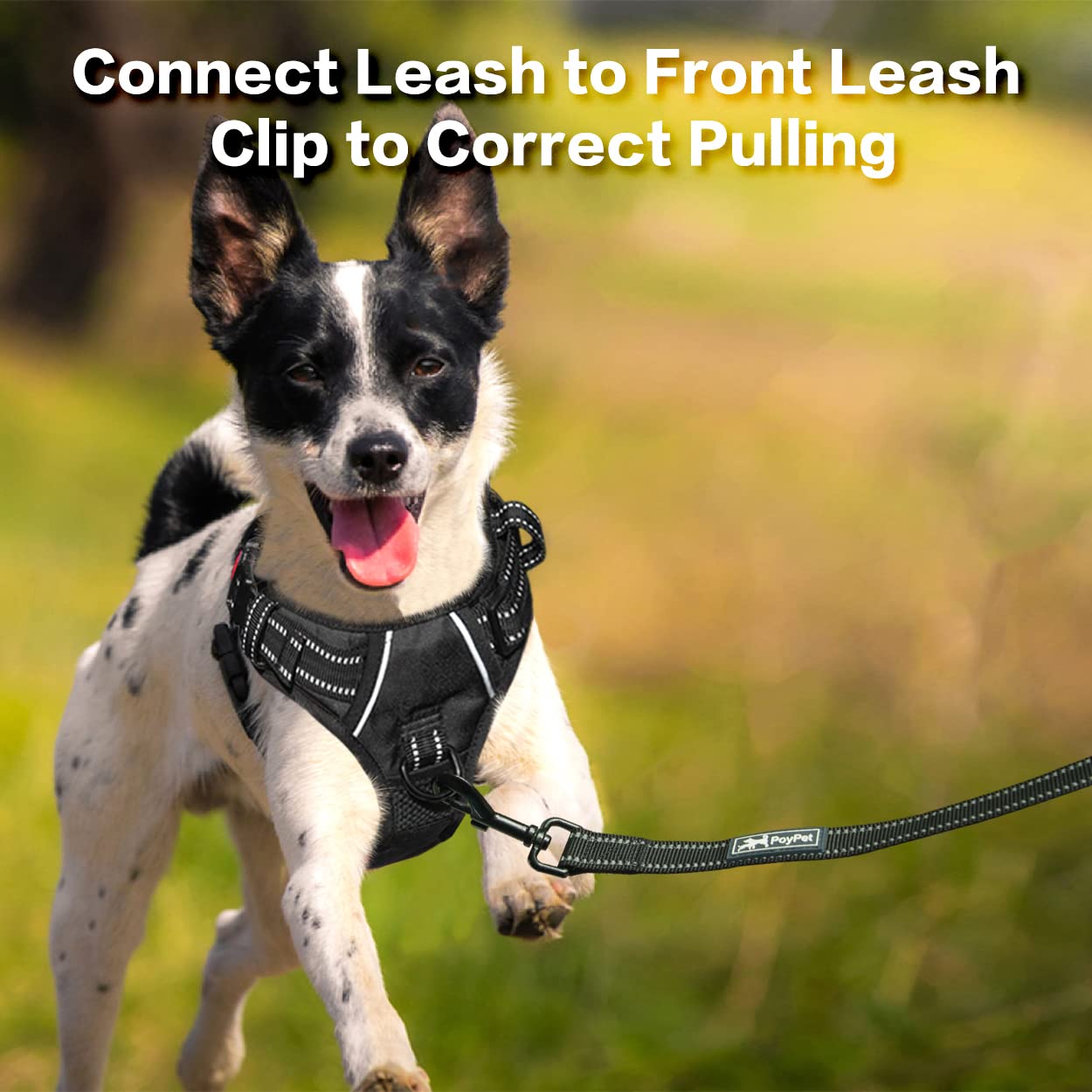PoyPet No Pull Harness easy-on, easy-off quick release buckle.