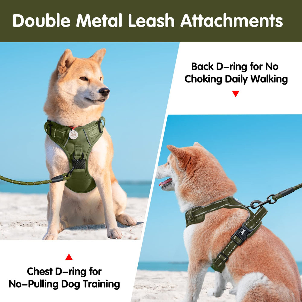 PoyPet no-pull harness back view showing dual D-rings for versatile walks.
