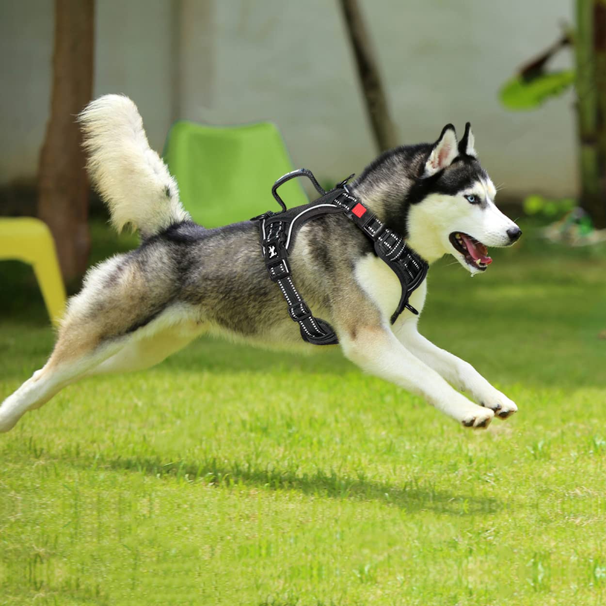 PoyPet No Pull Harness padded handle for quick control.