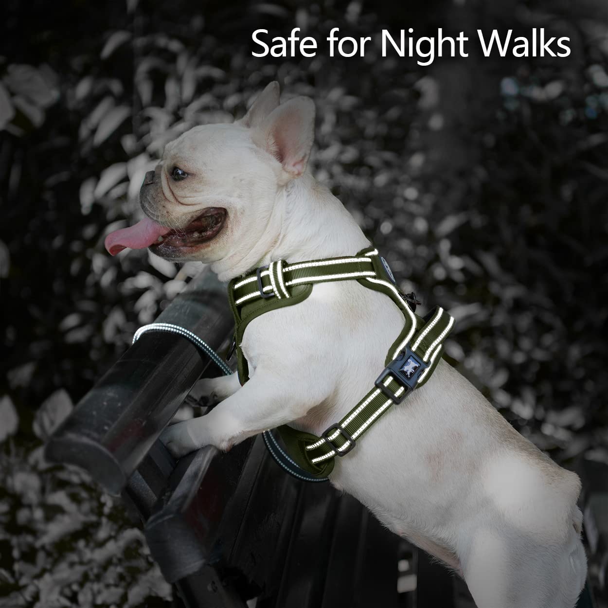 PoyPet No Pull Harness three quick-release buckles simplify on/off dressing.