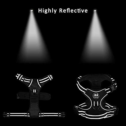 PoyPet No Pull Harness reflective stitching for nighttime visibility