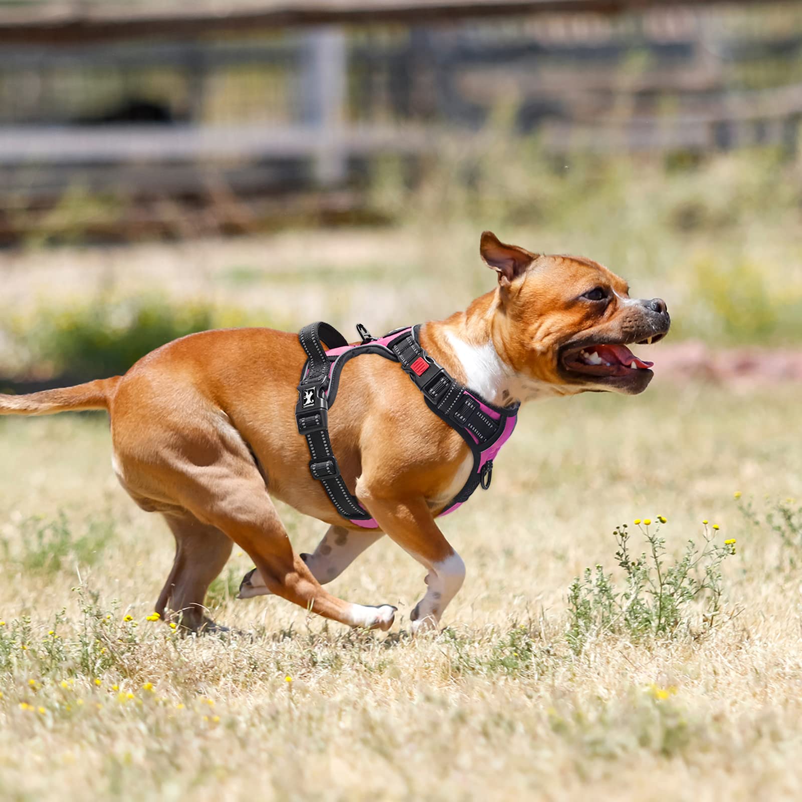 PoyPet padded handle harness offers extra control during walks.