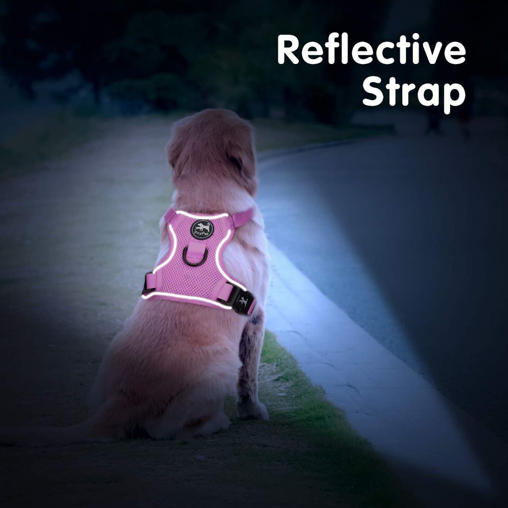 PoyPet quick-release buckles enable easy on/off during daily routines.