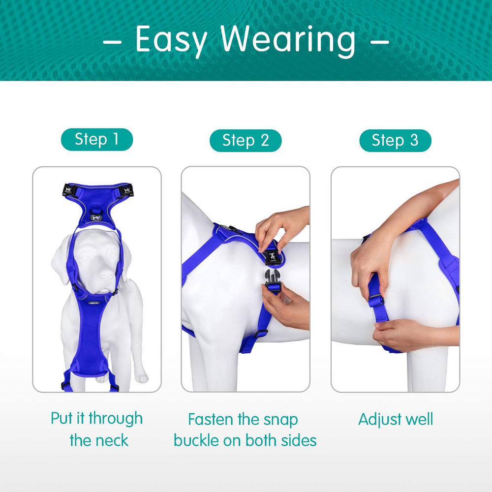 PoyPet reflective buckles harness royal blue image highlights quick-release access.