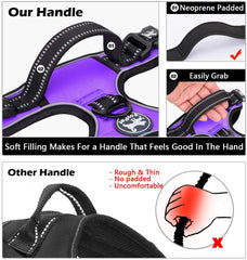 PoyPet Reflective nylon webbing close-up highlights high visibility for safer night walks.