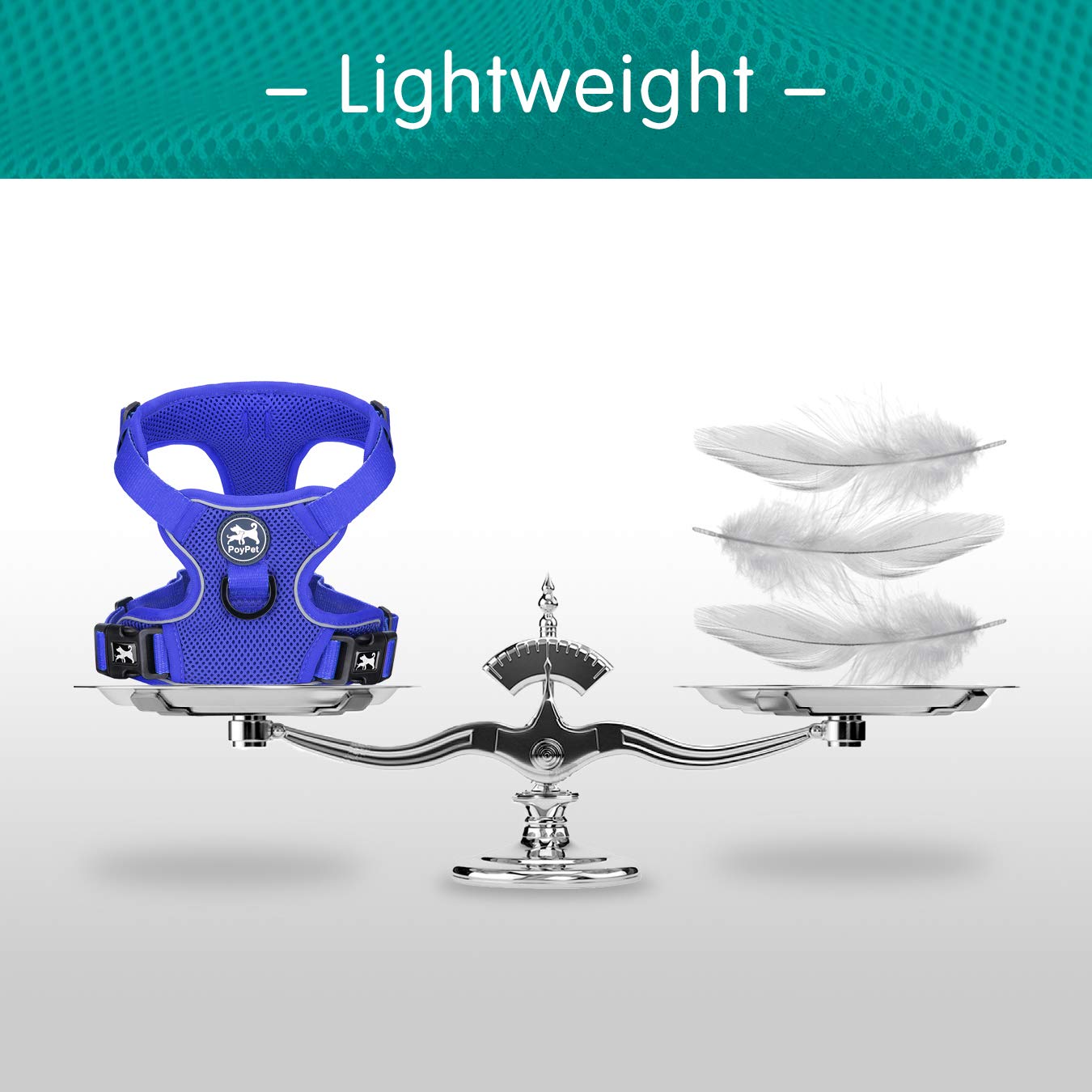 PoyPet reflective stitching enhances safety during dusk and dawn walks.