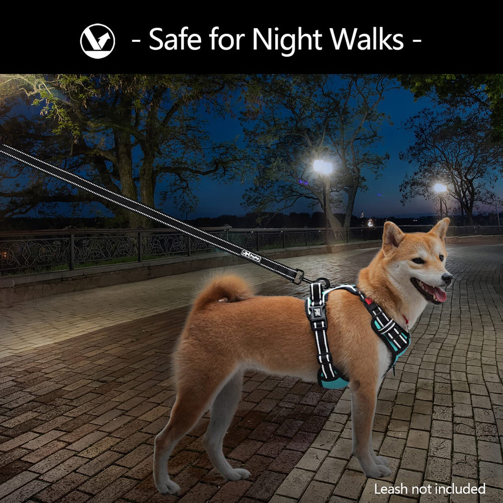 PoyPet reflective stitching visible for safer night-time walks.
