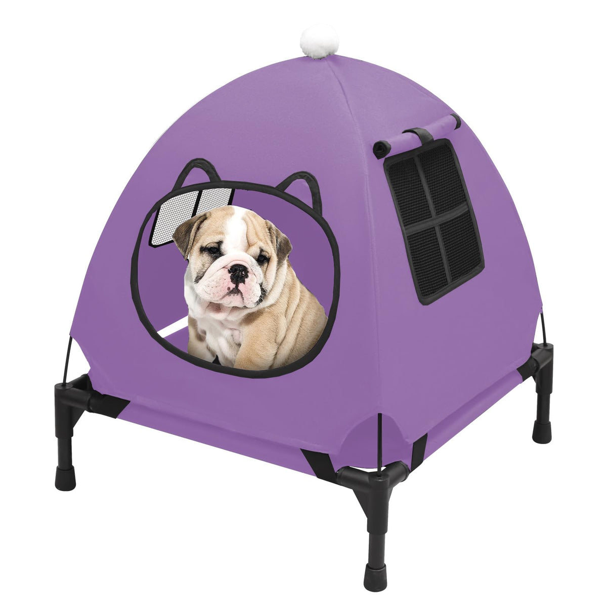 Pozico elevated pet bed assembly shows quick setup for busy pet owners.