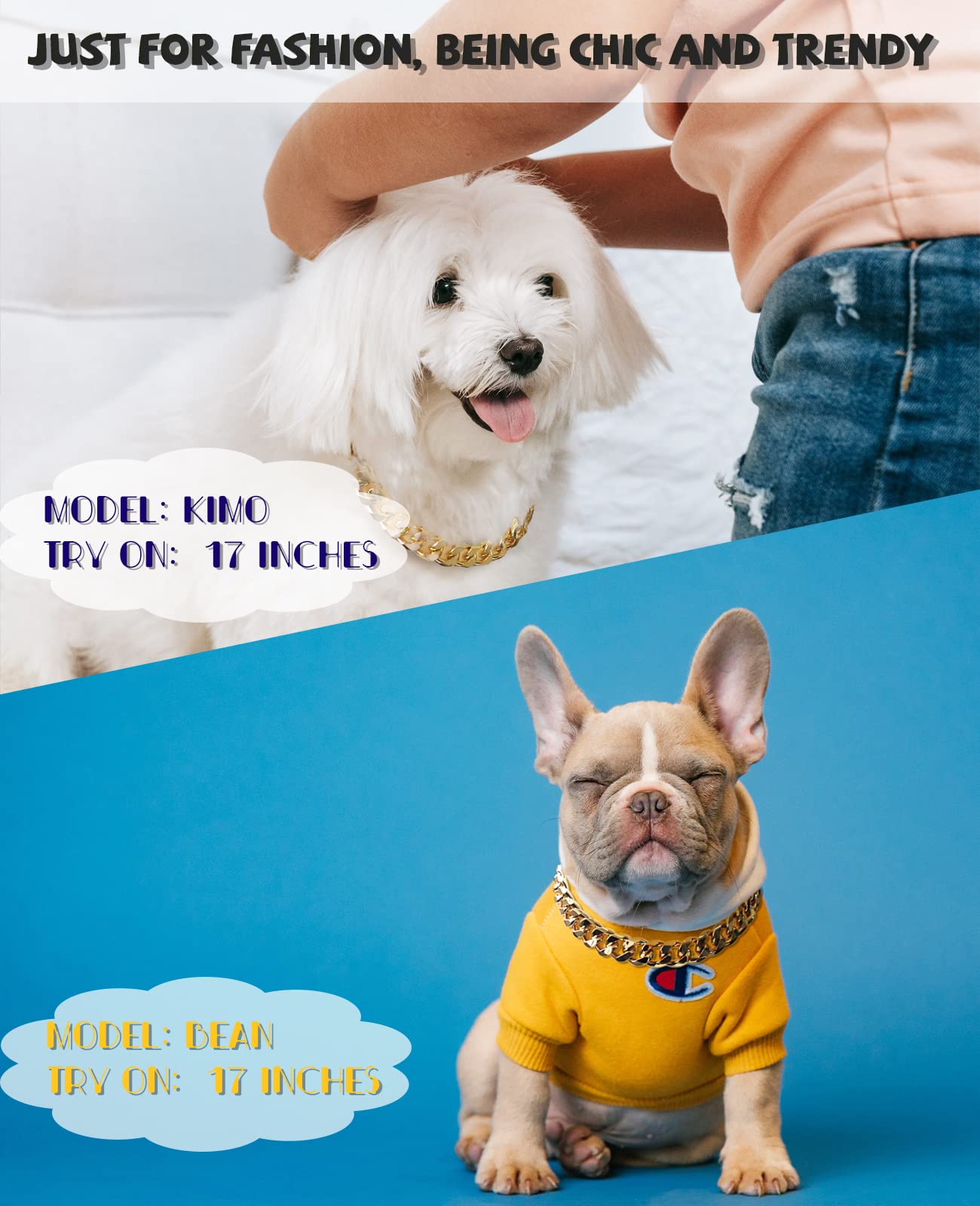 PP COLOR Gold Chain Dog Collar adjustable length shows customizable fit