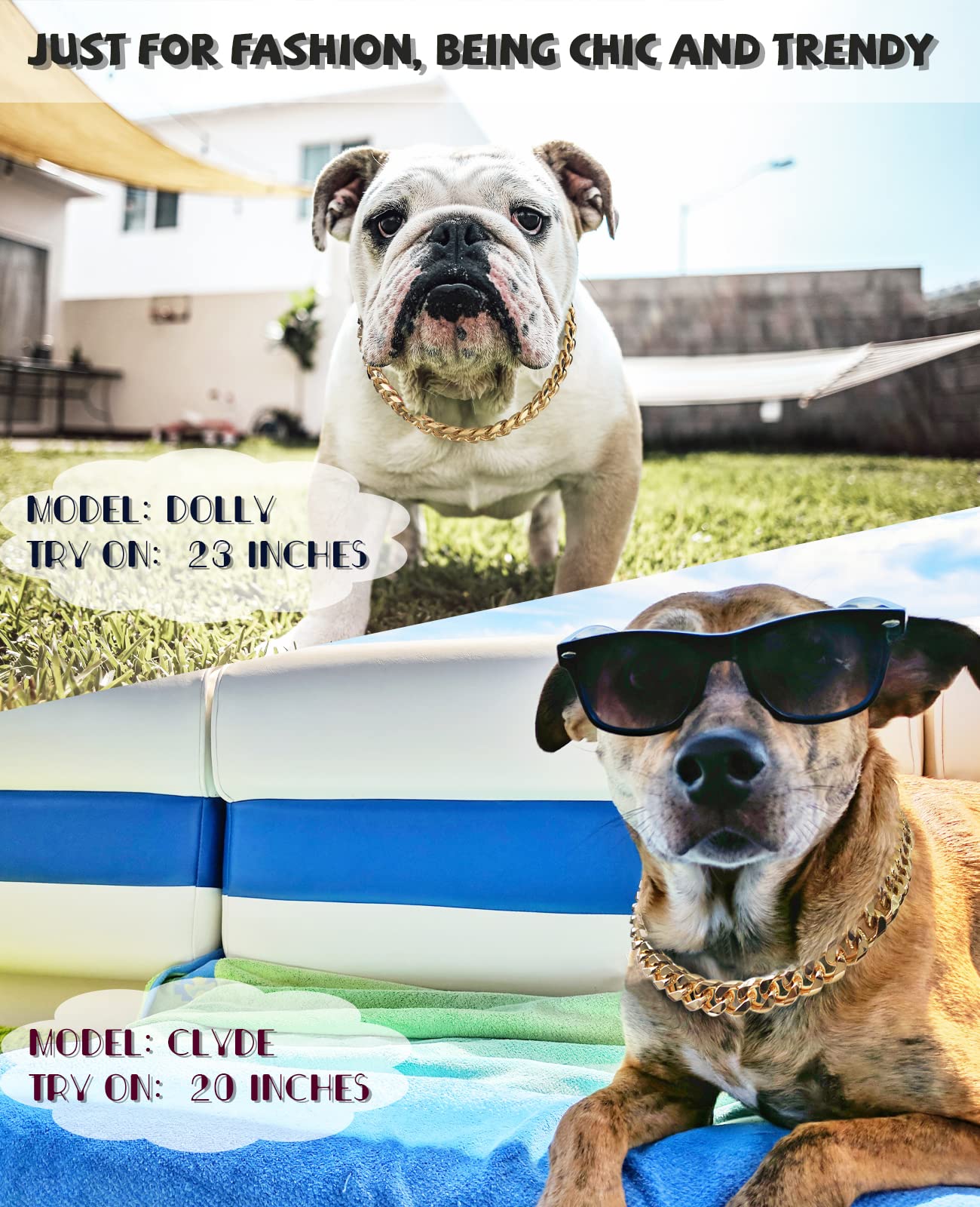 PP COLOR Gold Chain Dog Collar on a pit bull demonstrates lightweight design