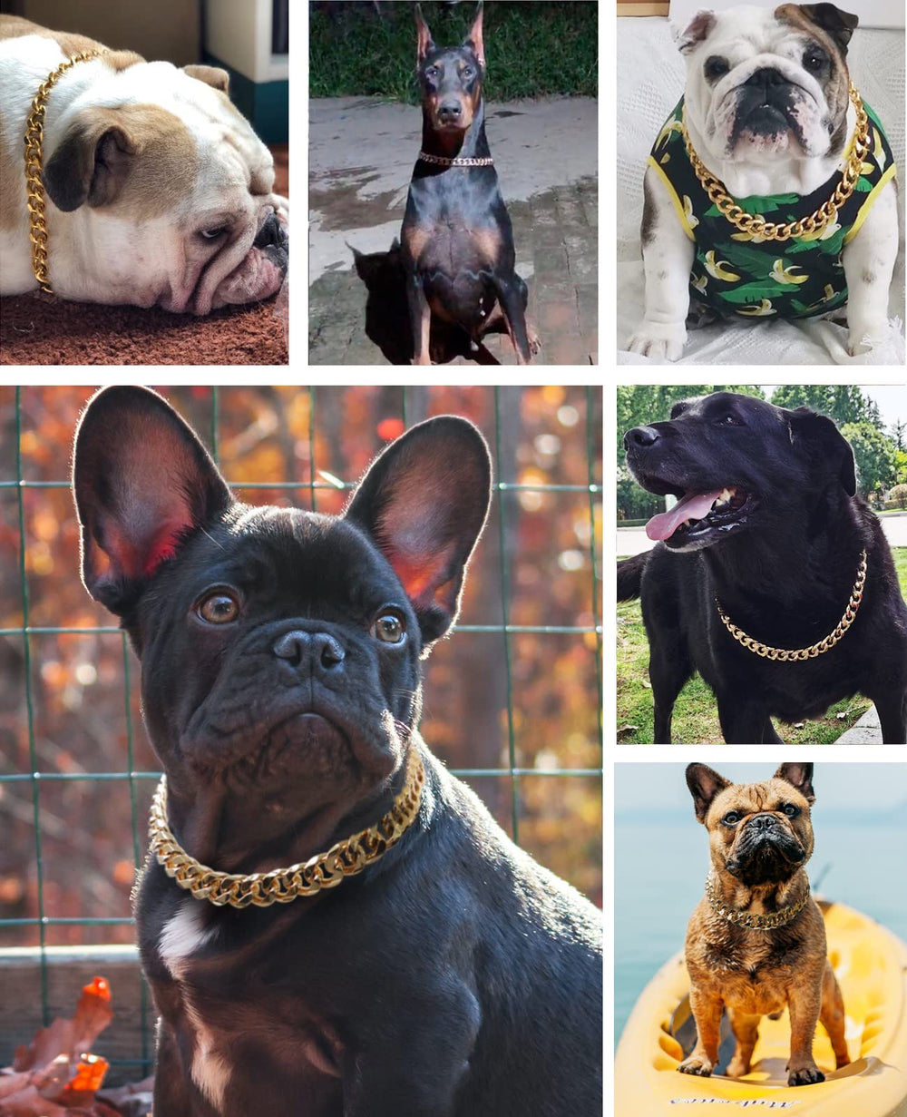 PP COLOR Gold Chain Dog Collar paired with outfit for hip-hop-inspired style