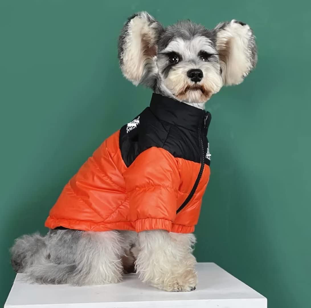 PQIQP dog winter coat orange small close-up of duck-down warmth