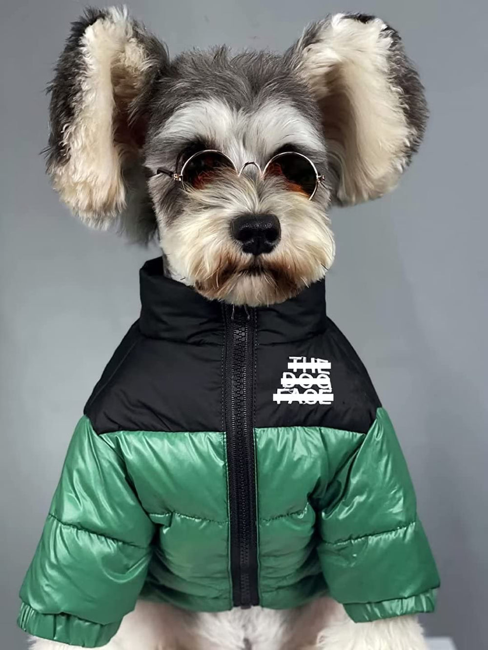 PQIQP dog winter coat green front view shows snug warmth for small dogs