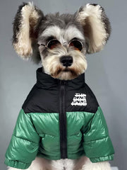 PQIQP dog winter coat green front view shows snug warmth for small dogs