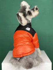 PQIQP duck-down coat orange small shows visibility and style