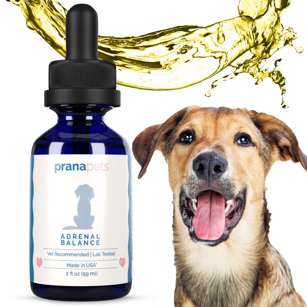 PranaPets Adrenal Balance dog-meal-drops being stirred into food to support energy and coat.