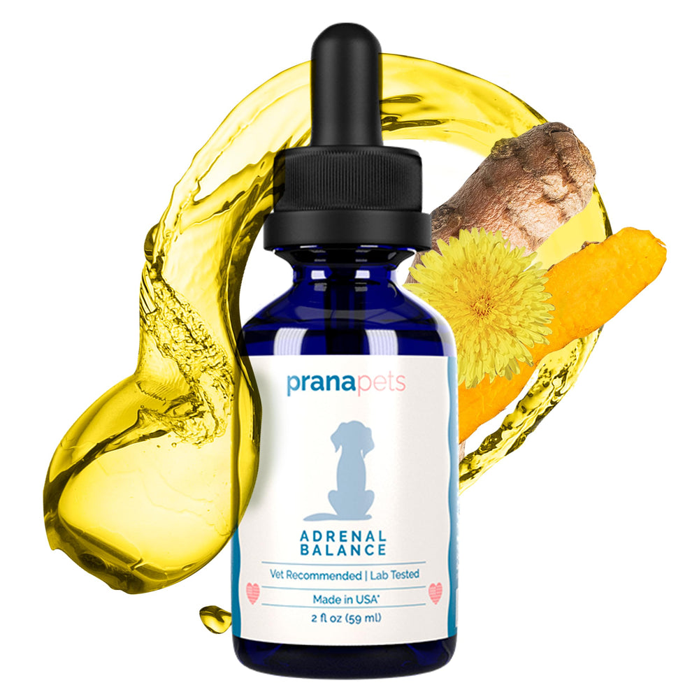 PranaPets Adrenal Balance dropper dispensing drops for easy daily use supporting stress adaptation.