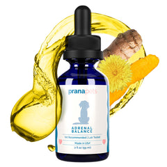 PranaPets Adrenal Balance dropper dispensing drops for easy daily use supporting stress adaptation.