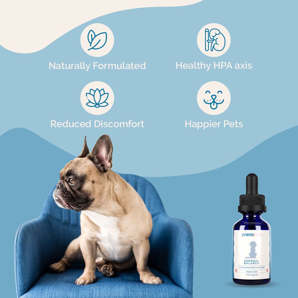 PranaPets Adrenal Balance ingredients close-up emphasizing licorice-free adaptogenic herbs.
