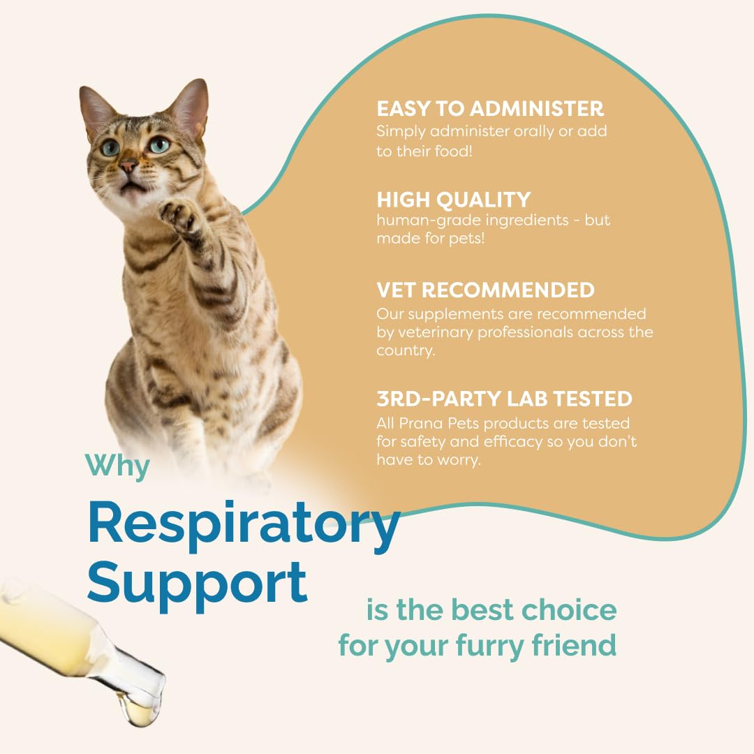 PranaPets Respiratory Support used with a cat to illustrate breathing comfort