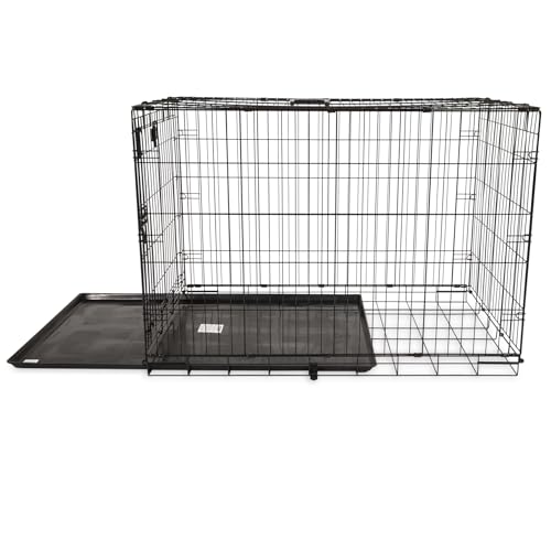 Precision Pet One Door Provalue crate with door open illustrating easy access for large dogs.