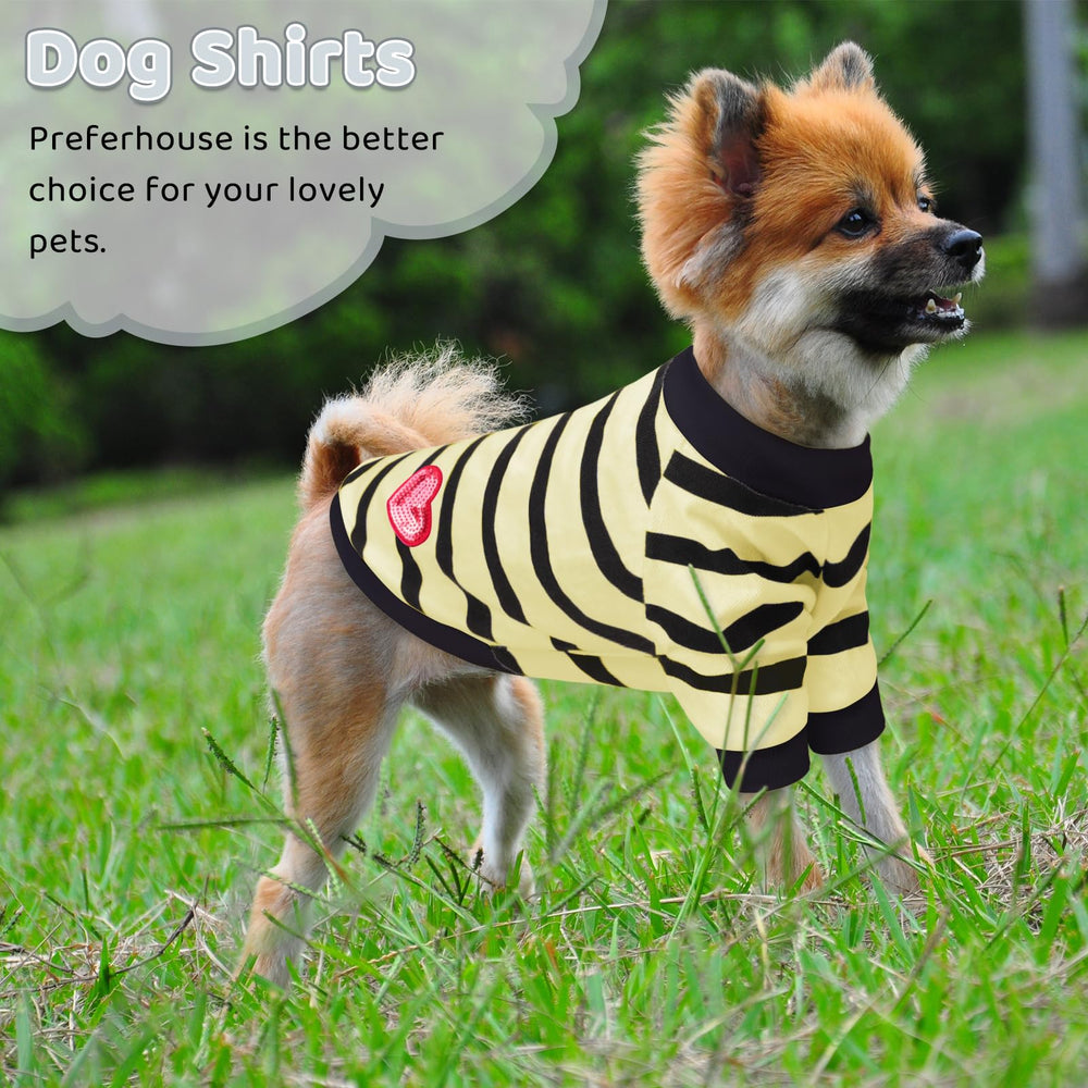 Uso exterior de la camiseta rayas de Preferhouse, perfecto para parques