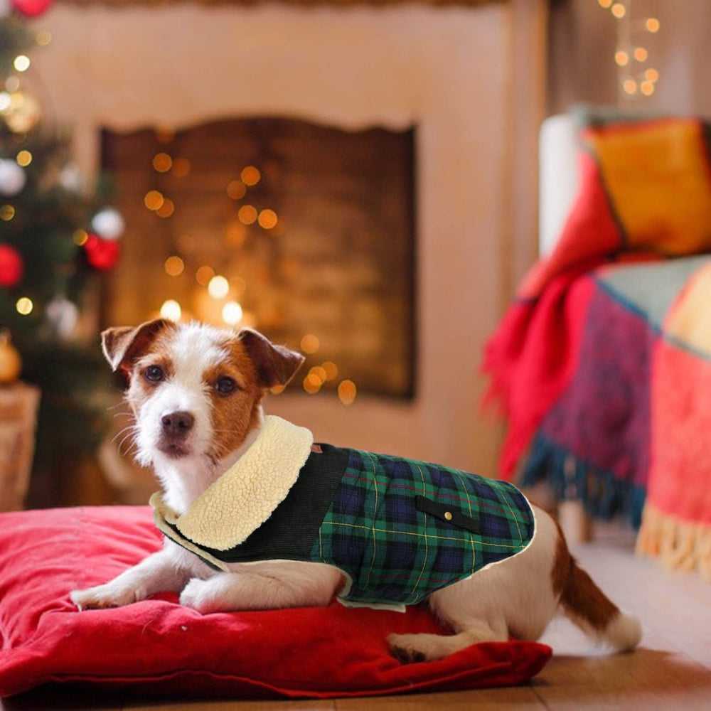 Preferhouse dog coat harness hole design enables easy leash attachment.
