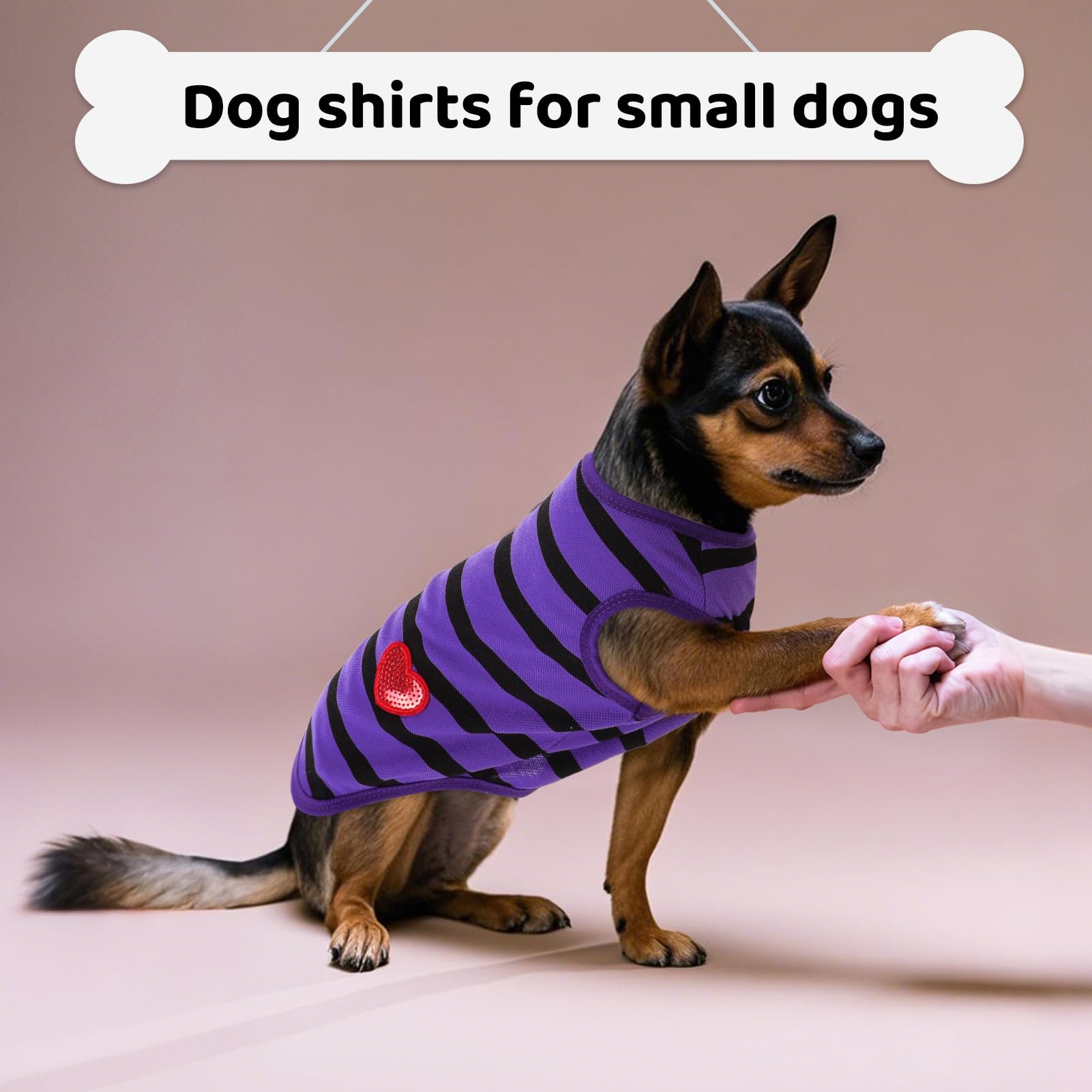 Preferhouse dog-shirt casual day wear supports versatile use from travel to park outings.
