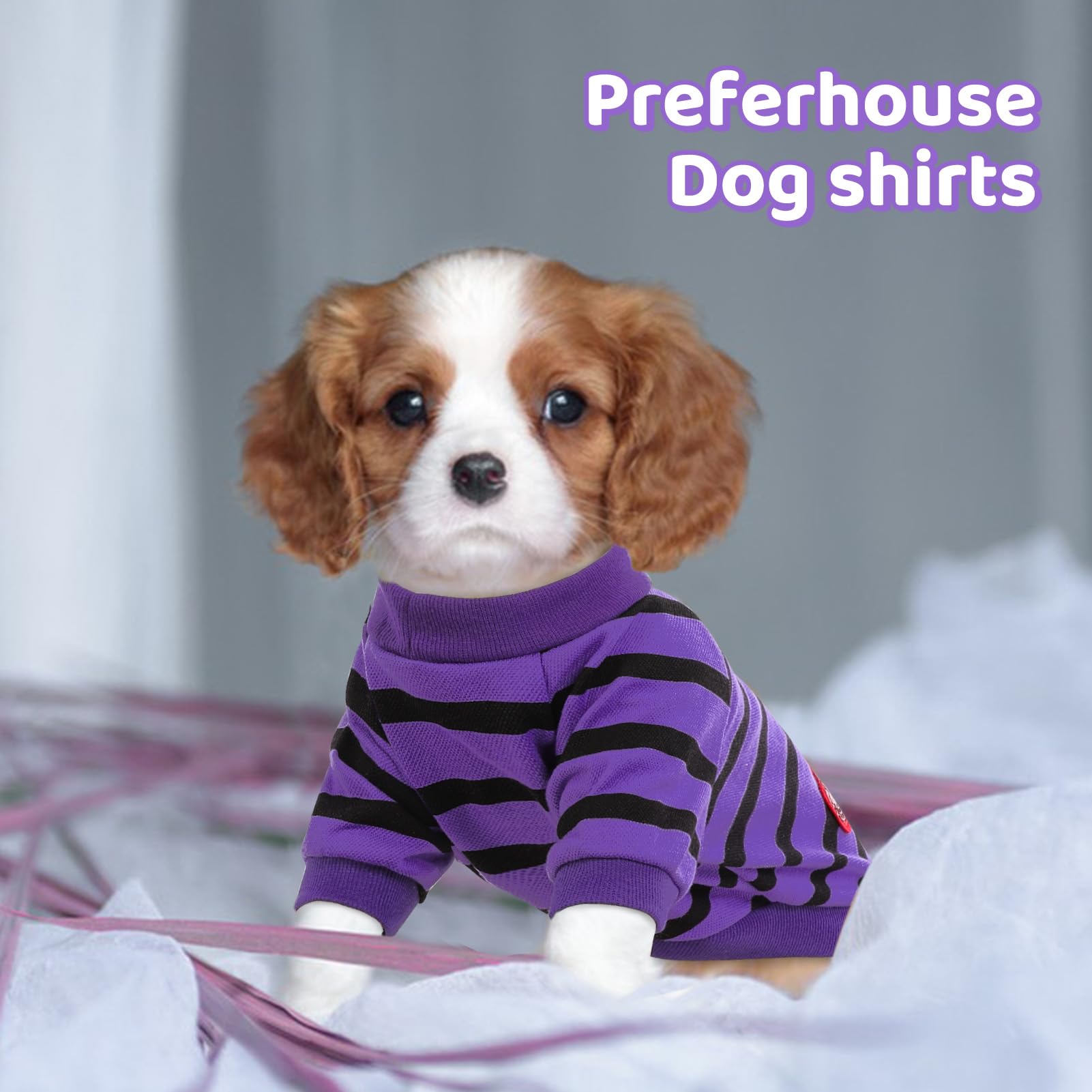 Preferhouse dog-shirt fashion stripe design showcases stylish daily wear for walks and parties.