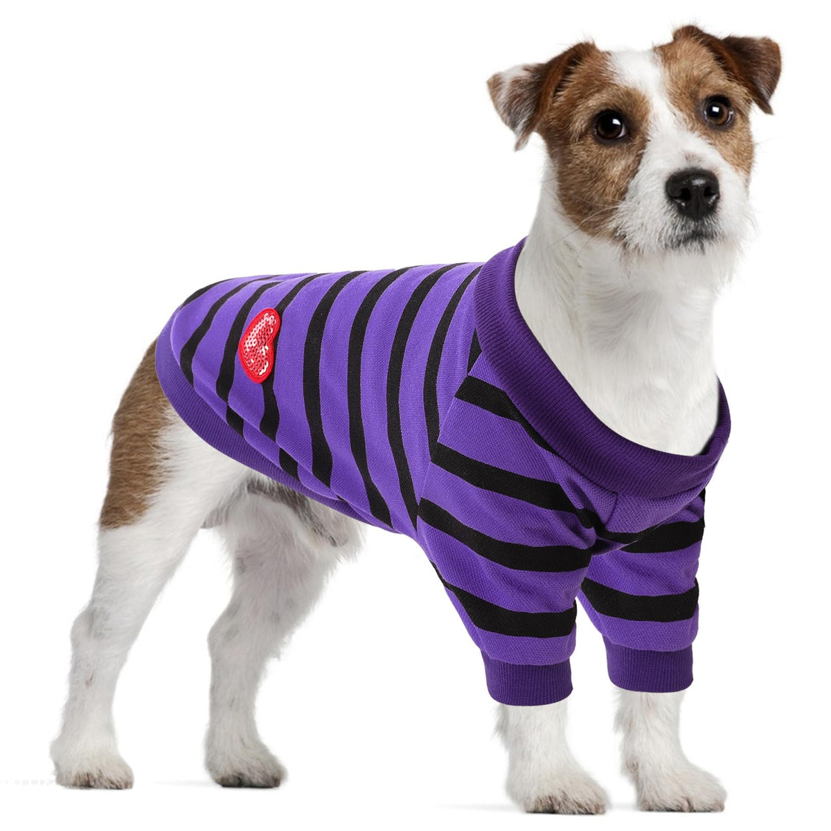 Preferhouse dog-shirt large striped violet worn by a big dog for comfy daily wear.