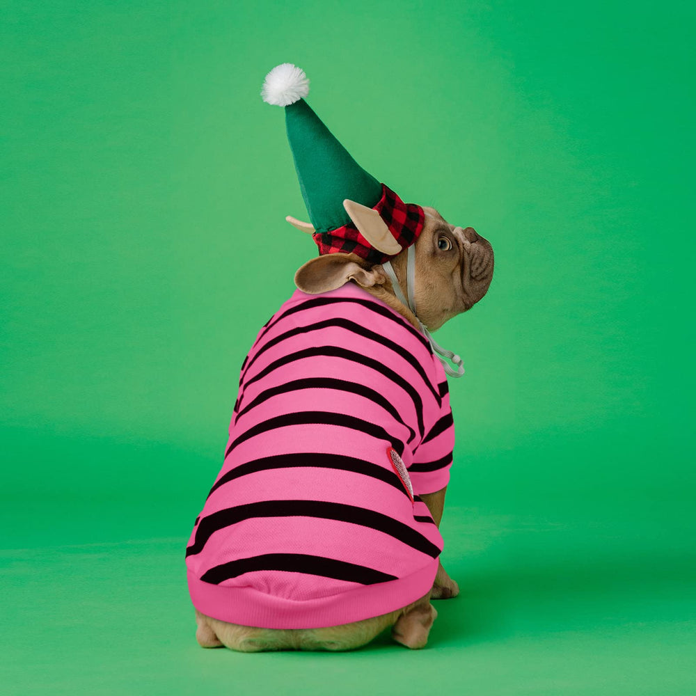 Preferhouse dog striped t-shirt easy-care image shows machine-washable convenience.