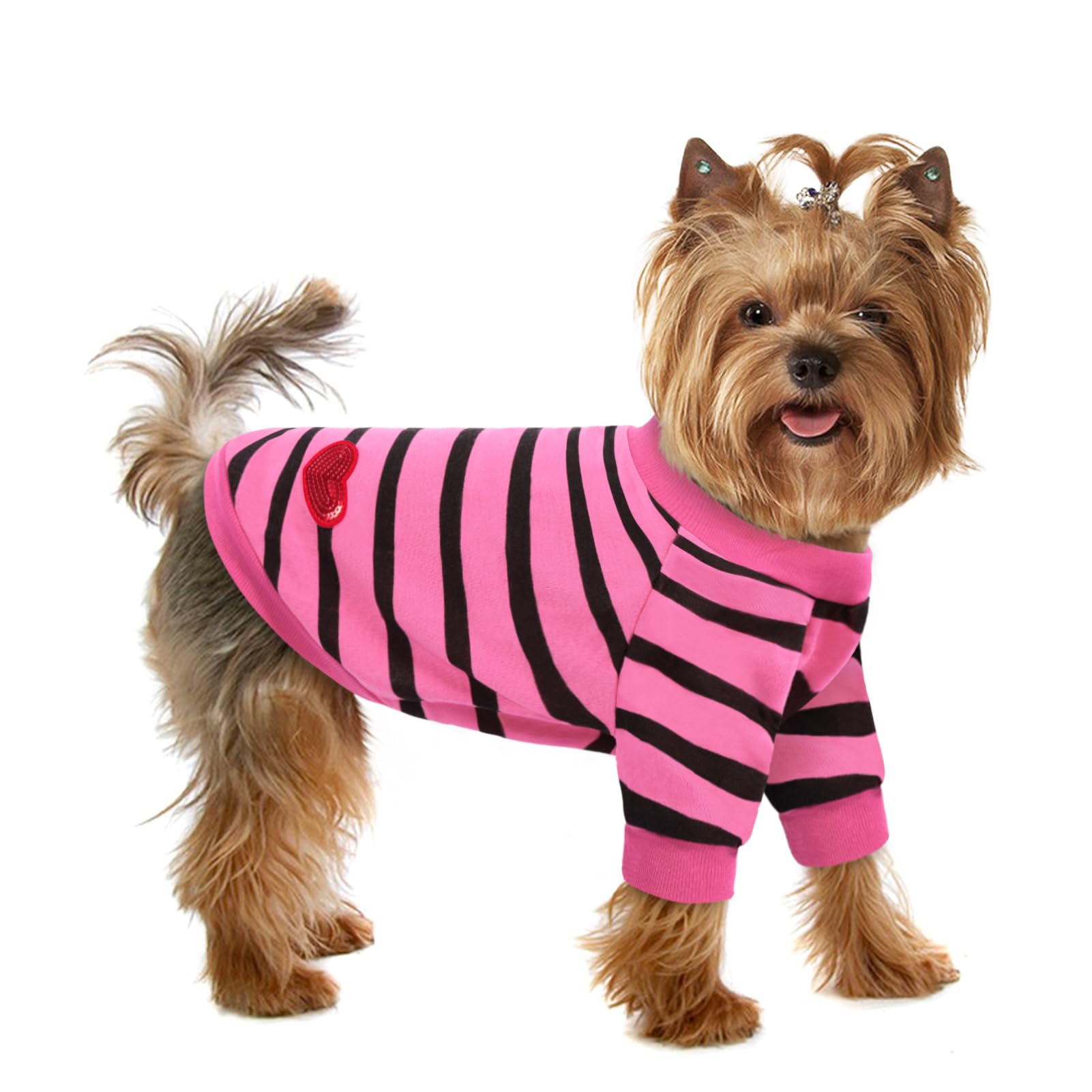 Preferhouse dog striped t-shirt front view shows classic stripes for daily wear.