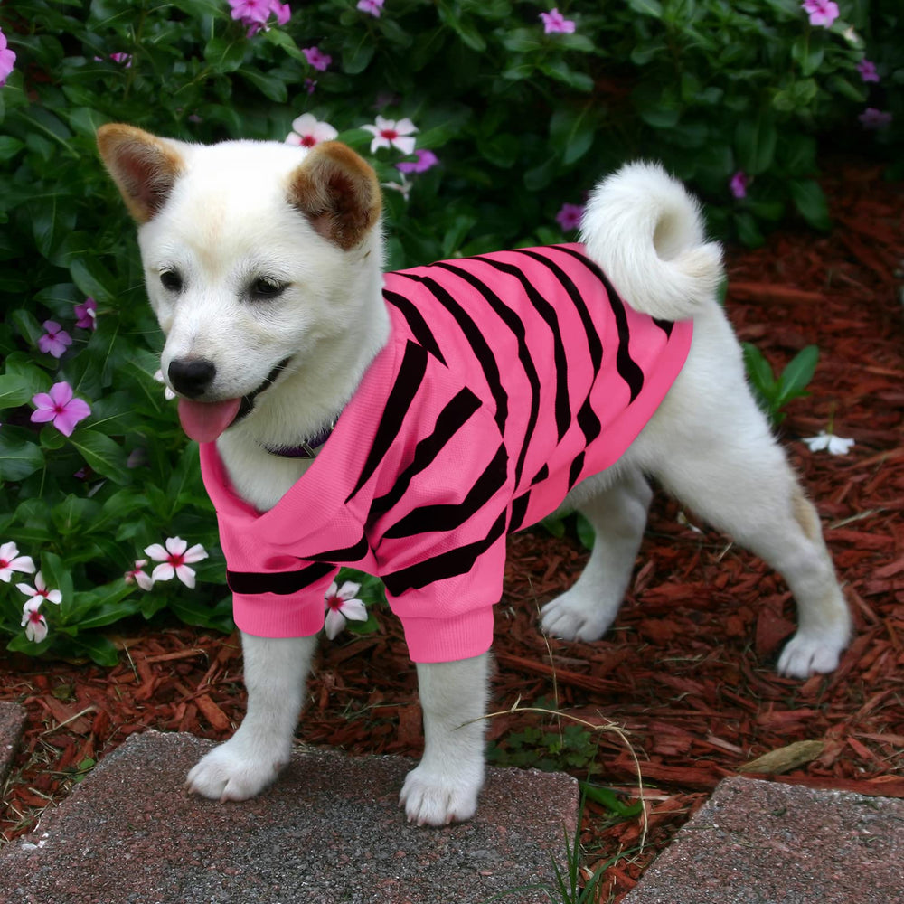 Preferhouse dog striped t-shirt on a walk demonstrates versatility for casual outings.