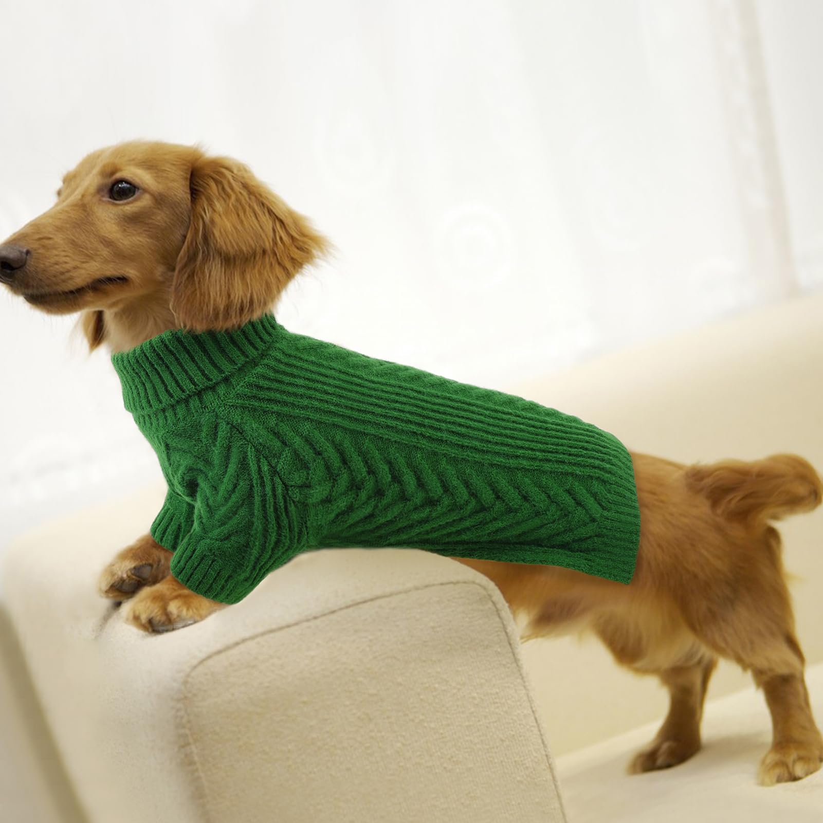 Preferhouse dog sweater green stitch-close fabric promises durable daily use.
