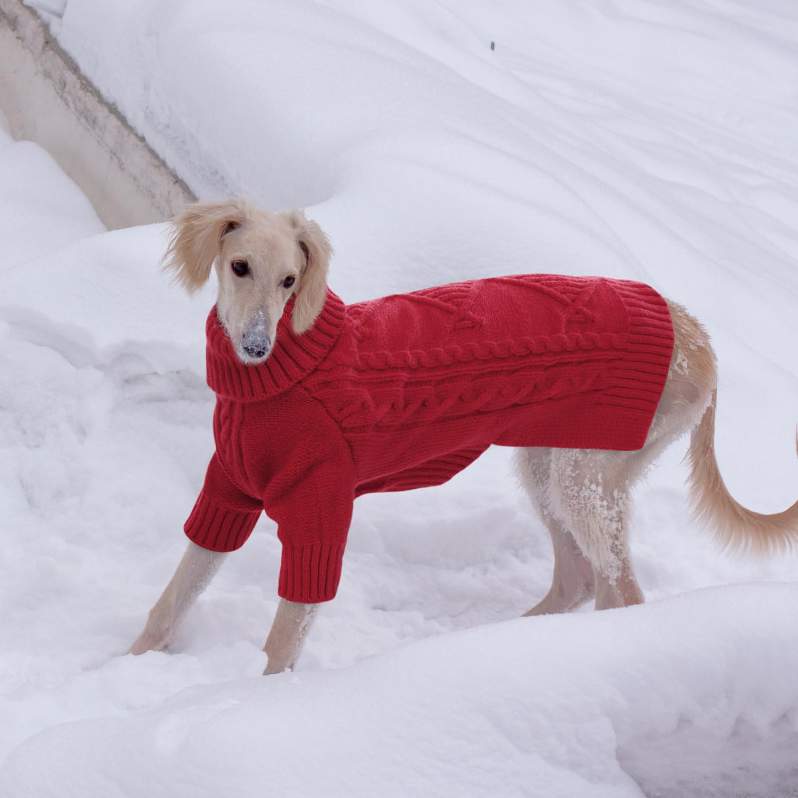 Preferhouse roll-up-sleeves red scene shows adjustable length for short legs.