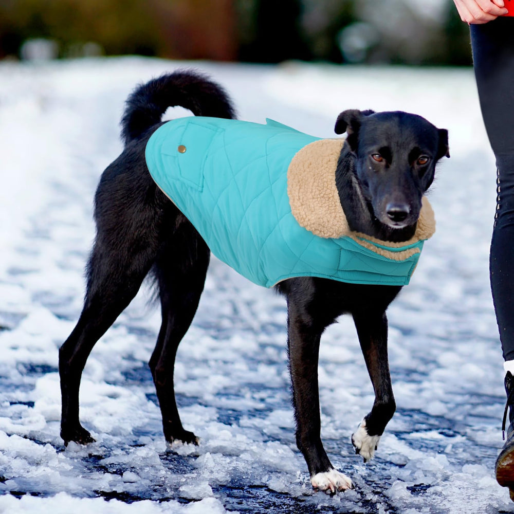Preferhouse Large Dog Winter Jacket magic tape straps for easy on/off.