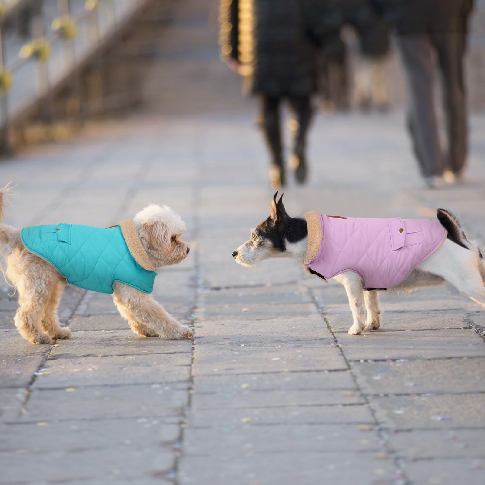 Preferhouse Large Dog Winter Jacket reinforced stitching survives machine washing.