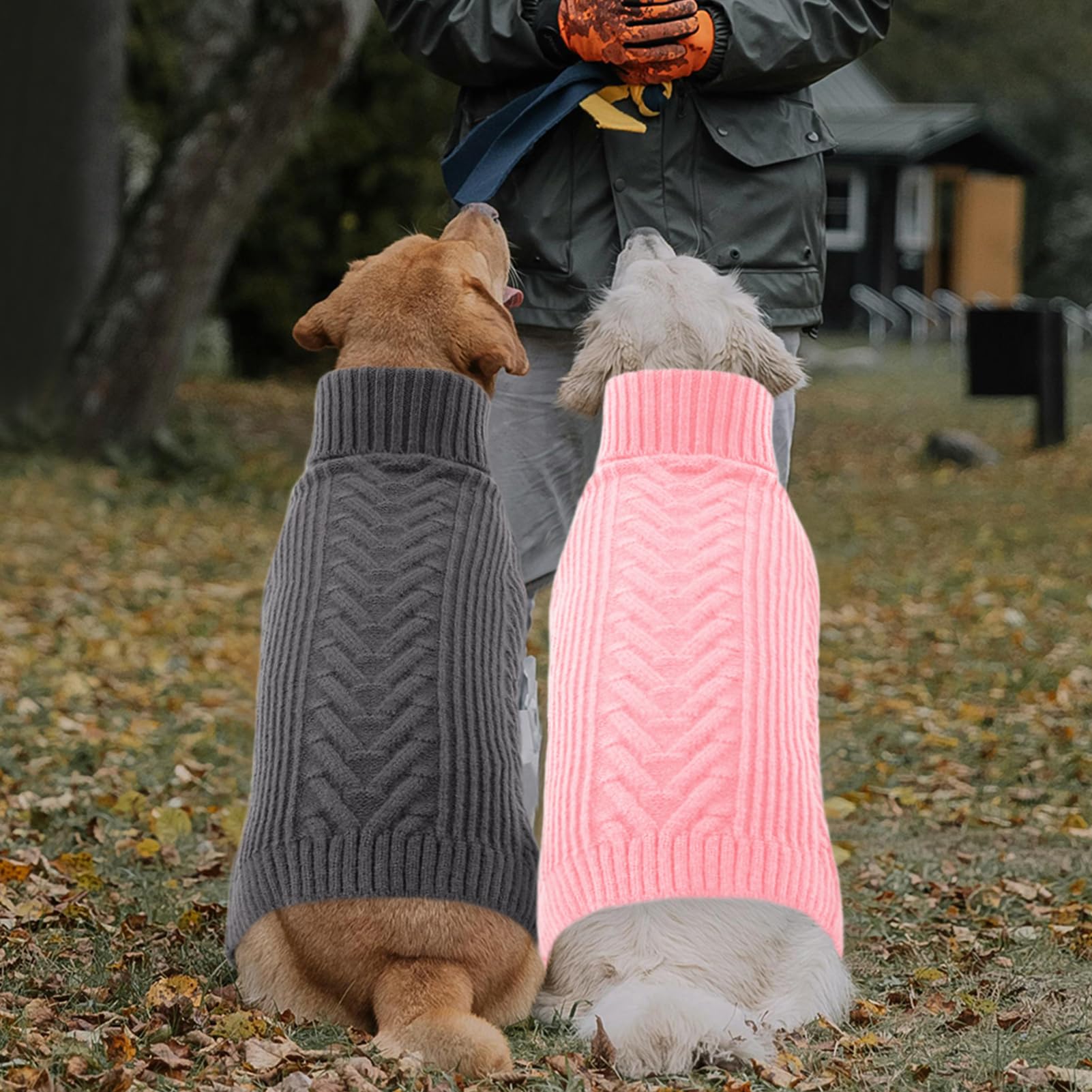 Preferhouse machine-washable dog sweater makes care easy after muddy adventures