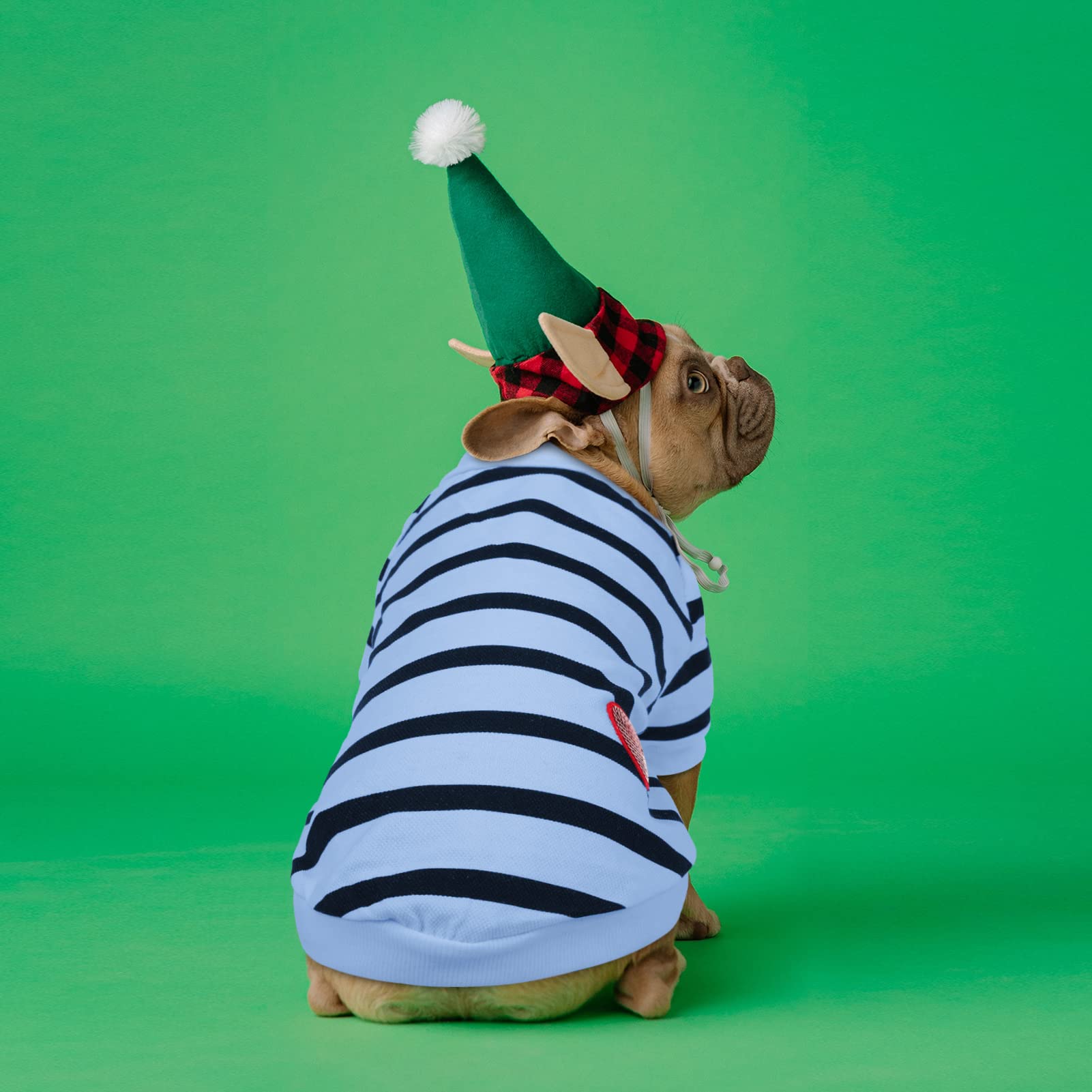 Preferhouse striped t-shirt gift-ready packaging for pet lovers.