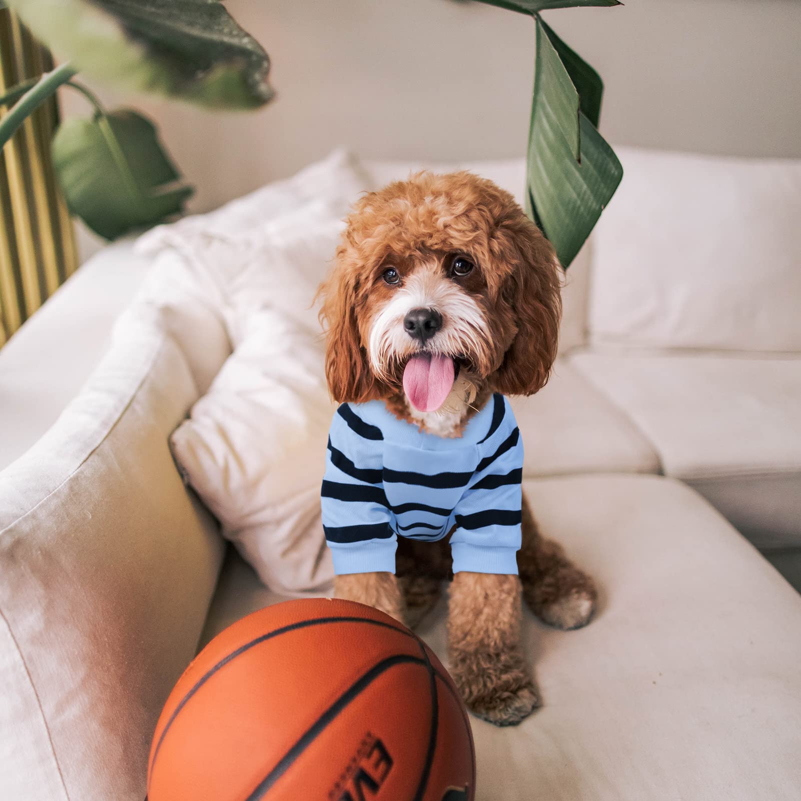 Preferhouse striped t-shirt heart pattern detail adds cute charm for pets.