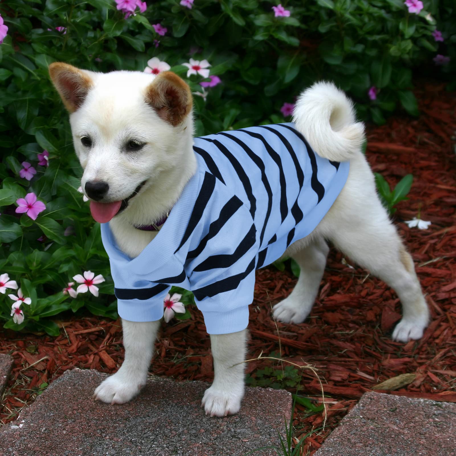 Preferhouse striped t-shirt worn at party or stroll for stylish look.