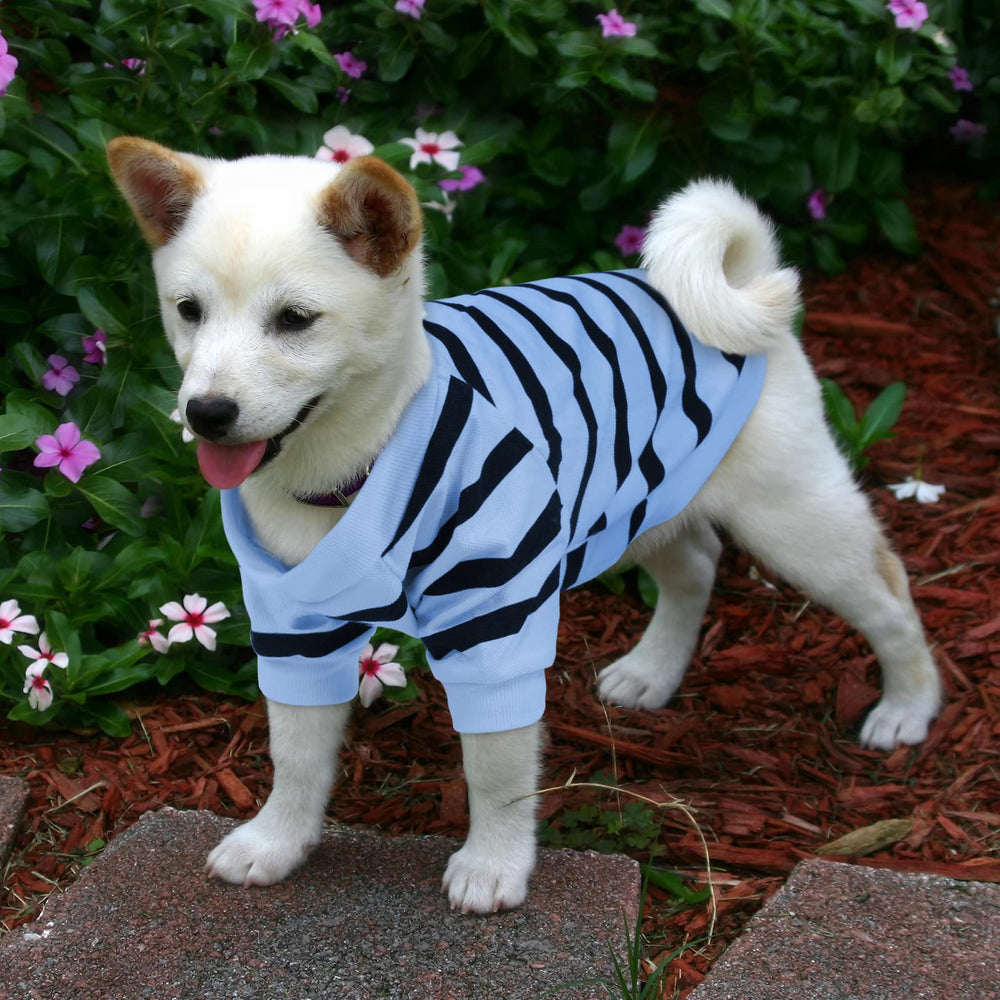 Preferhouse striped t-shirt worn at party or stroll for stylish look.