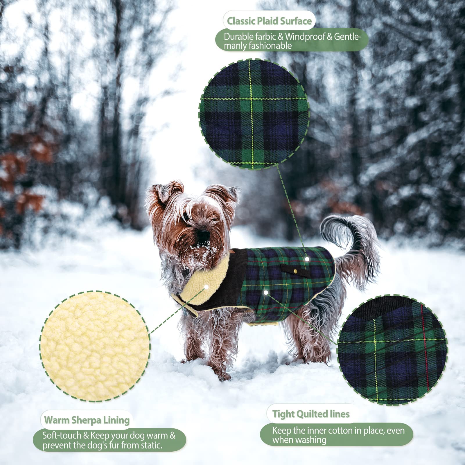 Preferhouse windproof dog outerwear green wearability for cold city walks.
