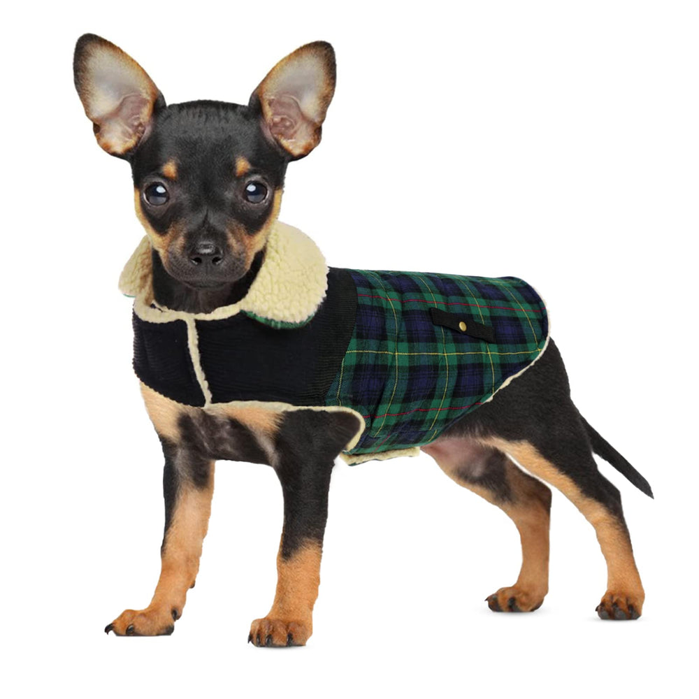 Preferhouse winter coat for dogs green front view provides warm windproof protection for chilly walks.