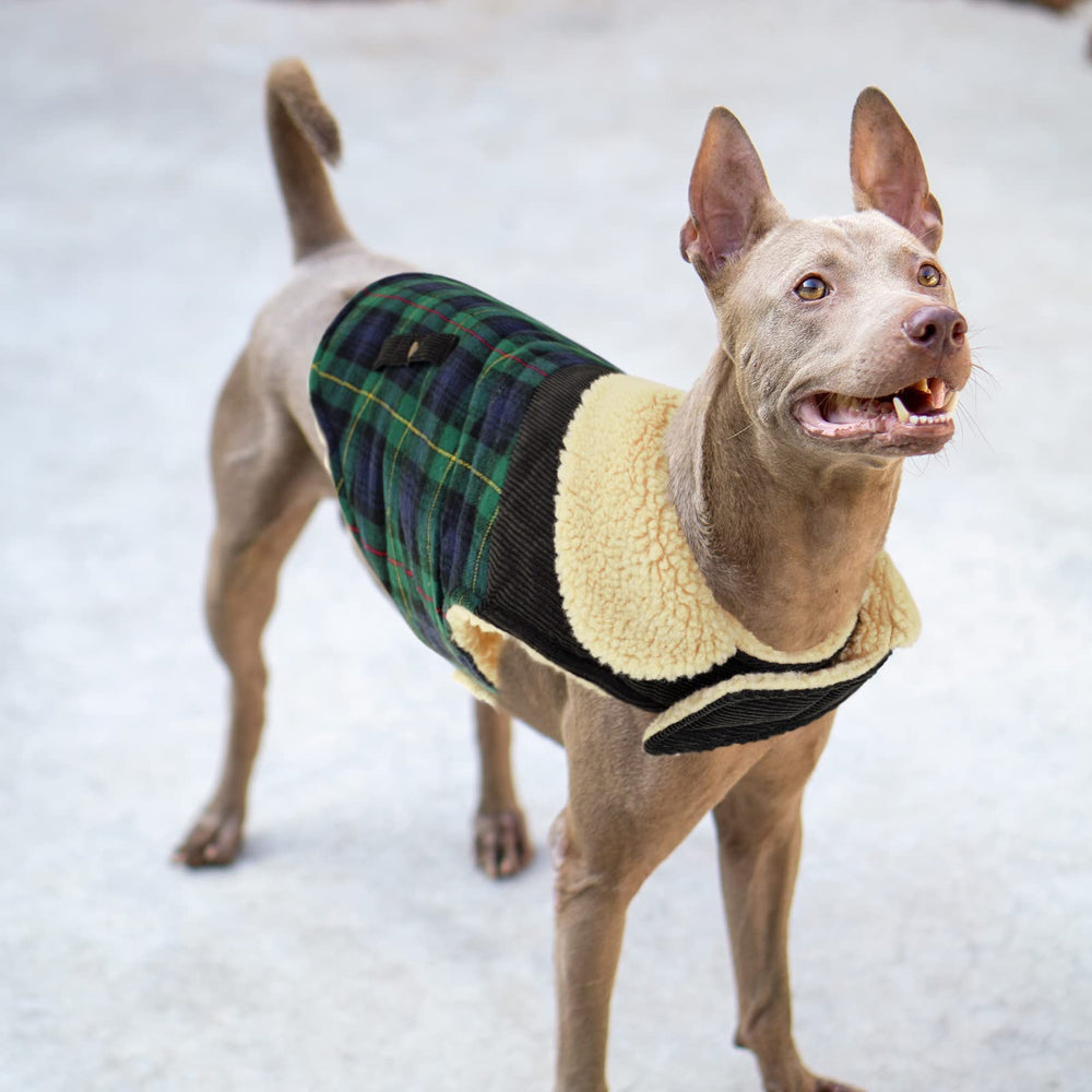 Preferhouse warm coat available in XS-XL sizes for many dog breeds.