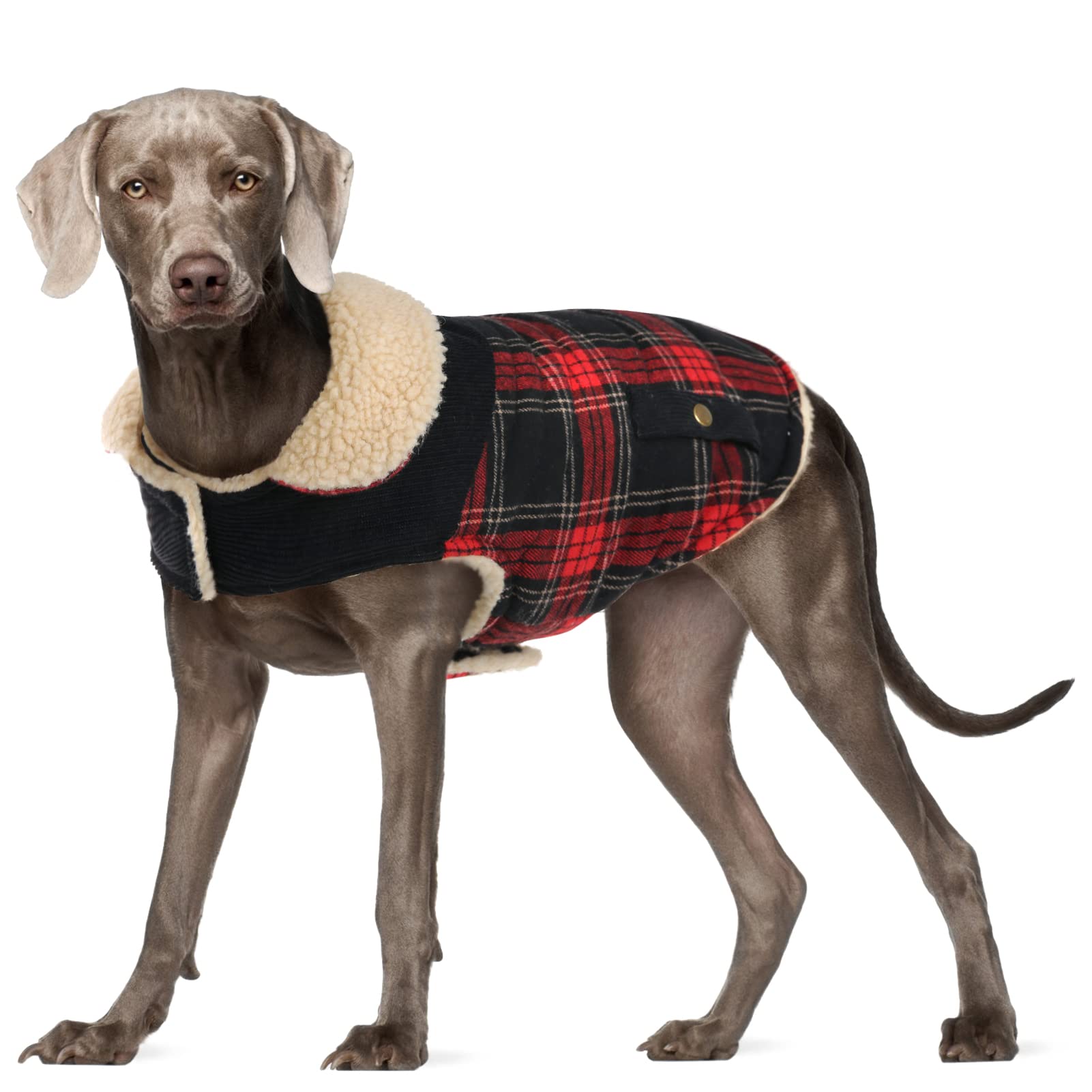 Preferhouse winter coat dog warm fleece interior keeps small dogs snug on cold walks.