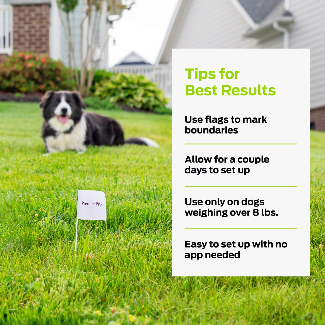 Premier Pet DIY installation makes setup straightforward and budget-friendly.