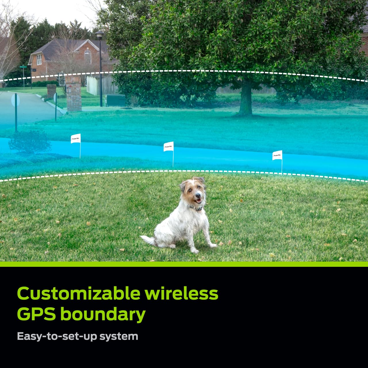 Premier Pet In-Ground Fence expansion enables larger-area coverage for active dogs.